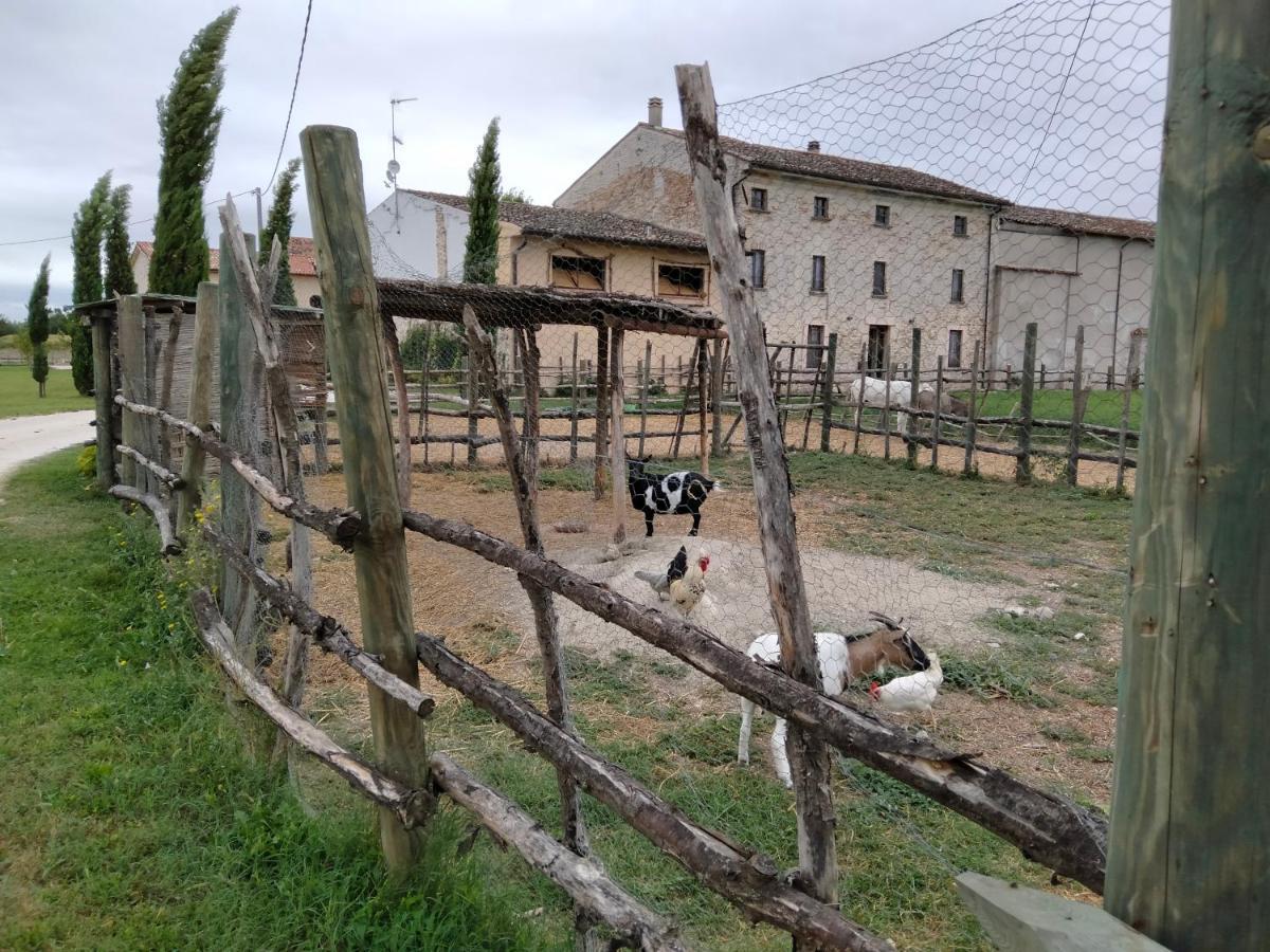 B&B Turistic 7 Castel Goffredo Екстер'єр фото
