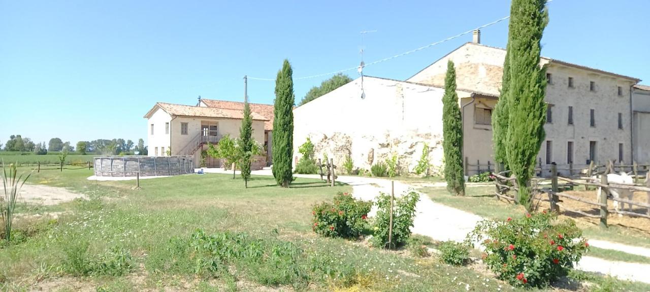B&B Turistic 7 Castel Goffredo Екстер'єр фото